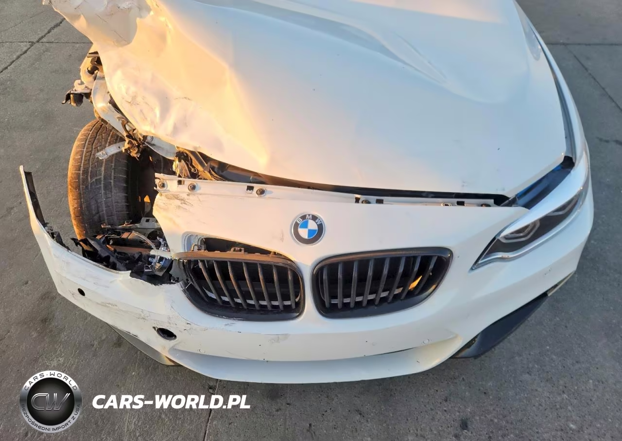2019 BMW M240Xi VIN:WBA2J7C55KVD61106 - 11