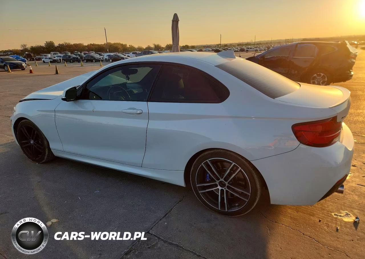 2019 BMW M240Xi VIN:WBA2J7C55KVD61106 - 2