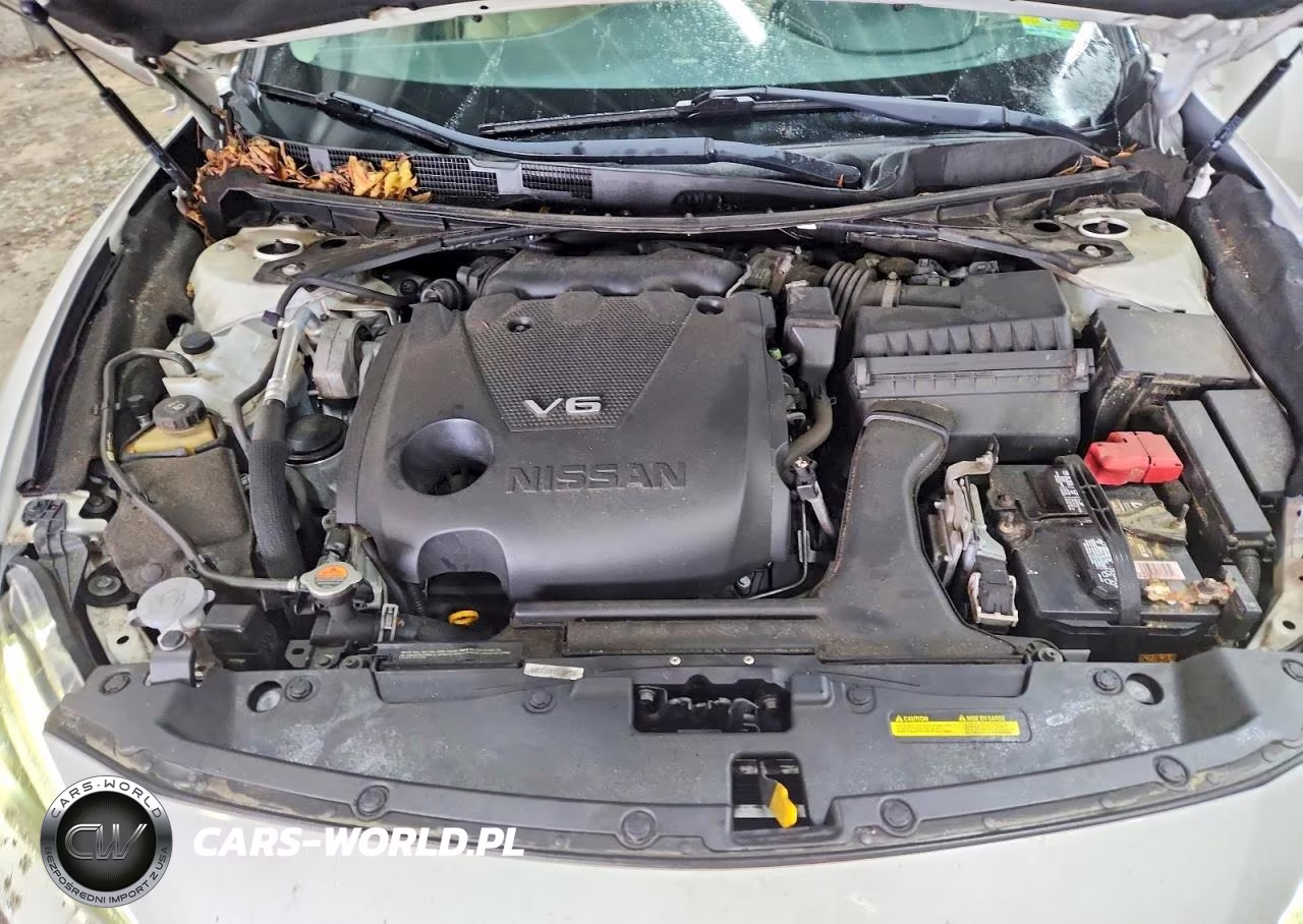 2017 Nissan Maxima Platinum VIN:1N4AA6AP2HC442908 - 11