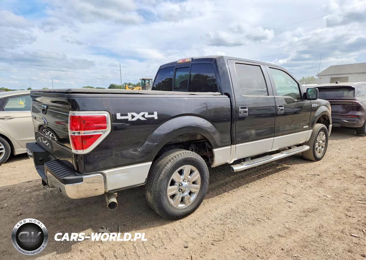 2011 Ford F150 Supercrew VIN:1FTFW1ET7BFA83993 - 3