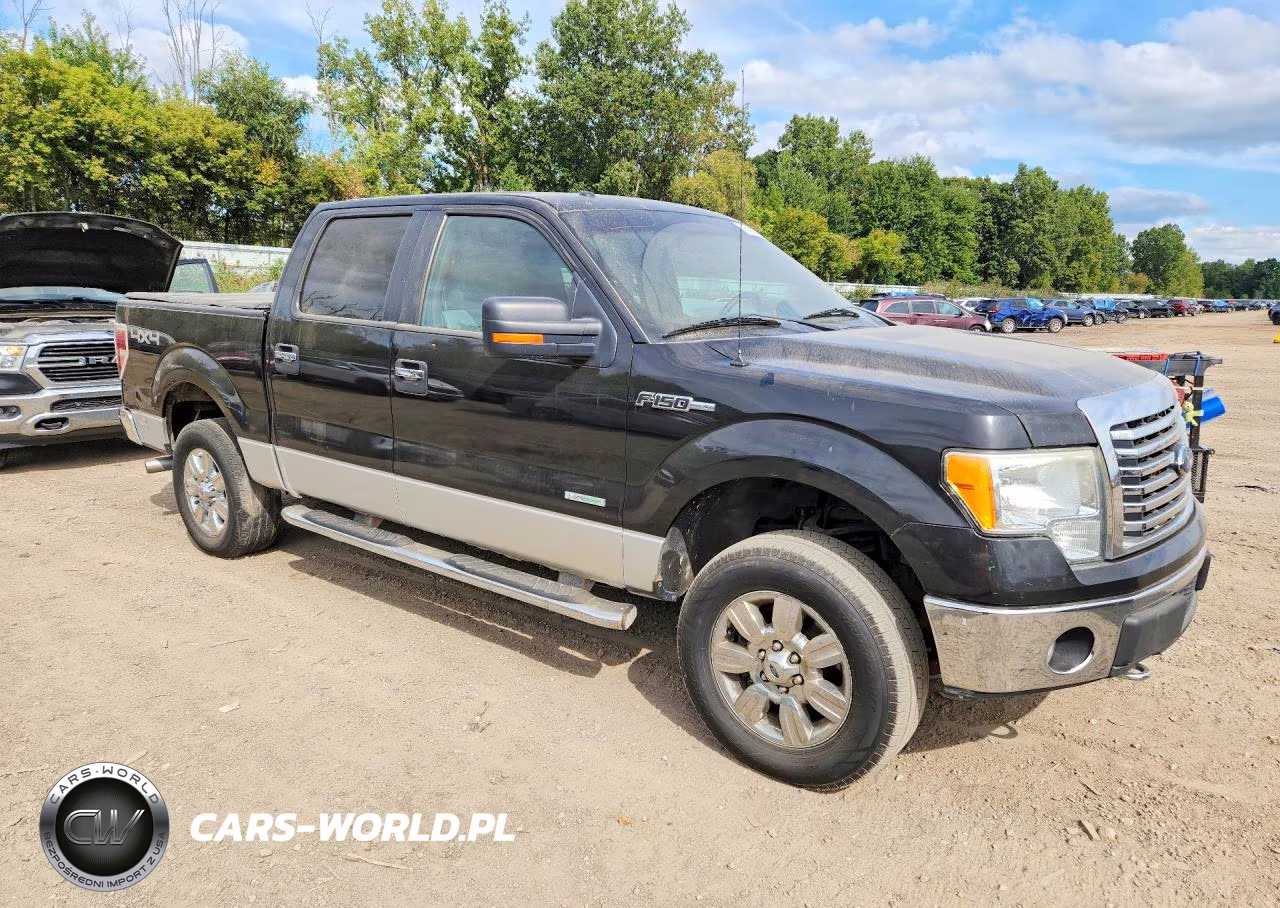 2011 Ford F150 Supercrew VIN:1FTFW1ET7BFA83993 - 4