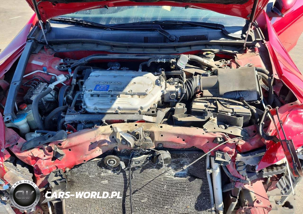 2009 Honda Accord Exl VIN:1HGCS22869A008540 - 11