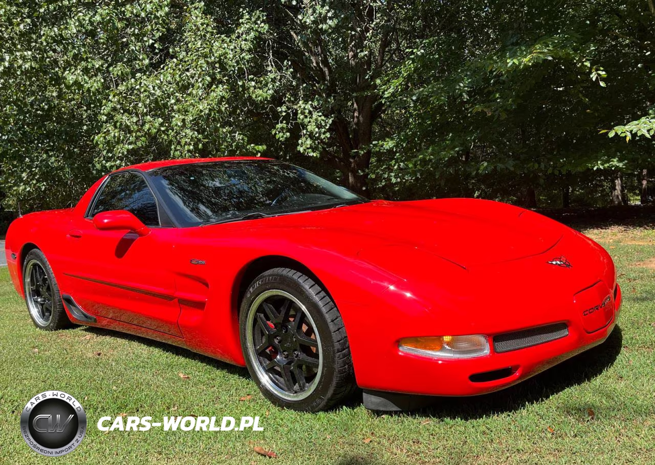 2002 Chevrolet Corvette Z06 VIN:1G1YY12S525119046 - 1