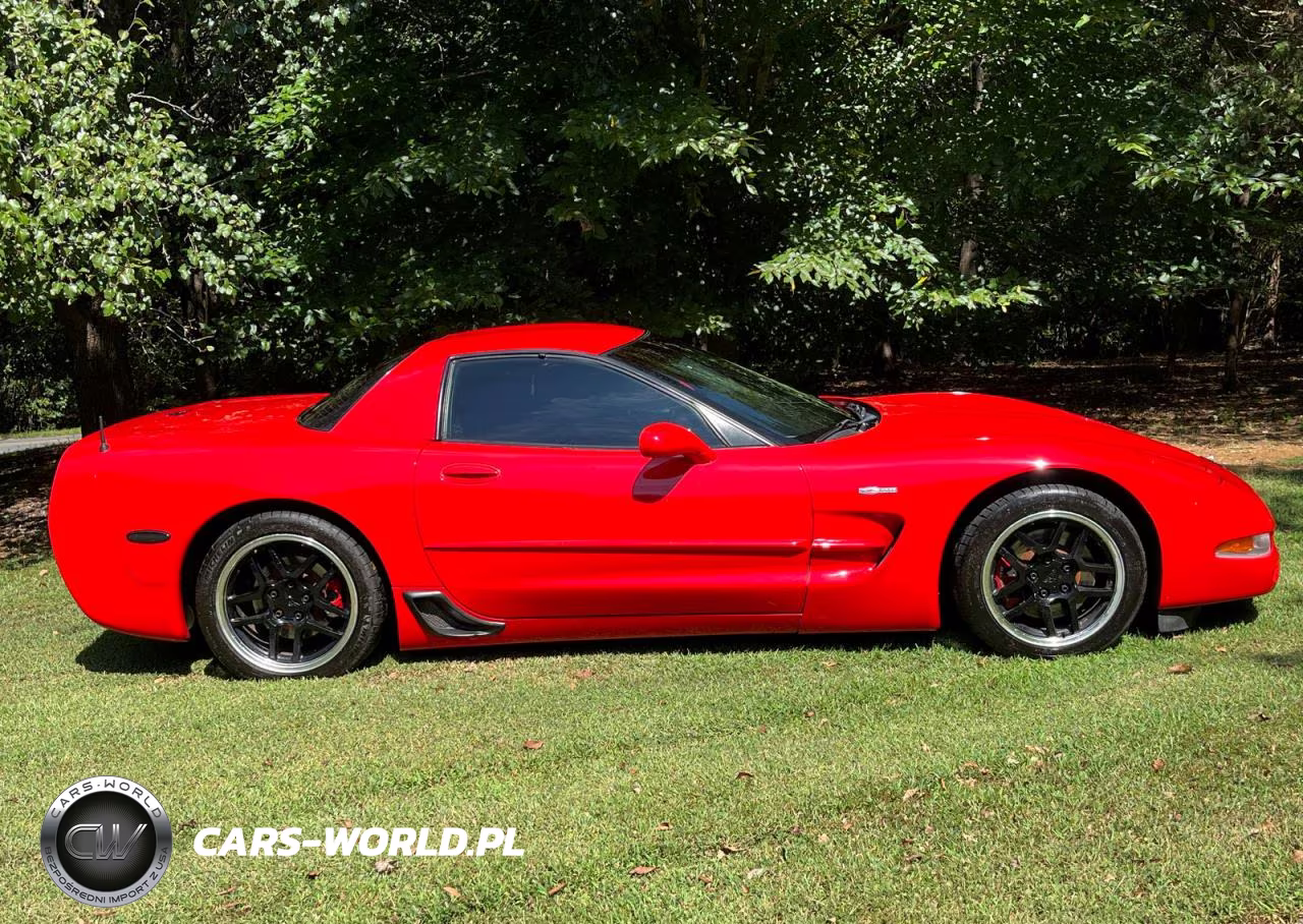 2002 Chevrolet Corvette Z06 VIN:1G1YY12S525119046 - 12