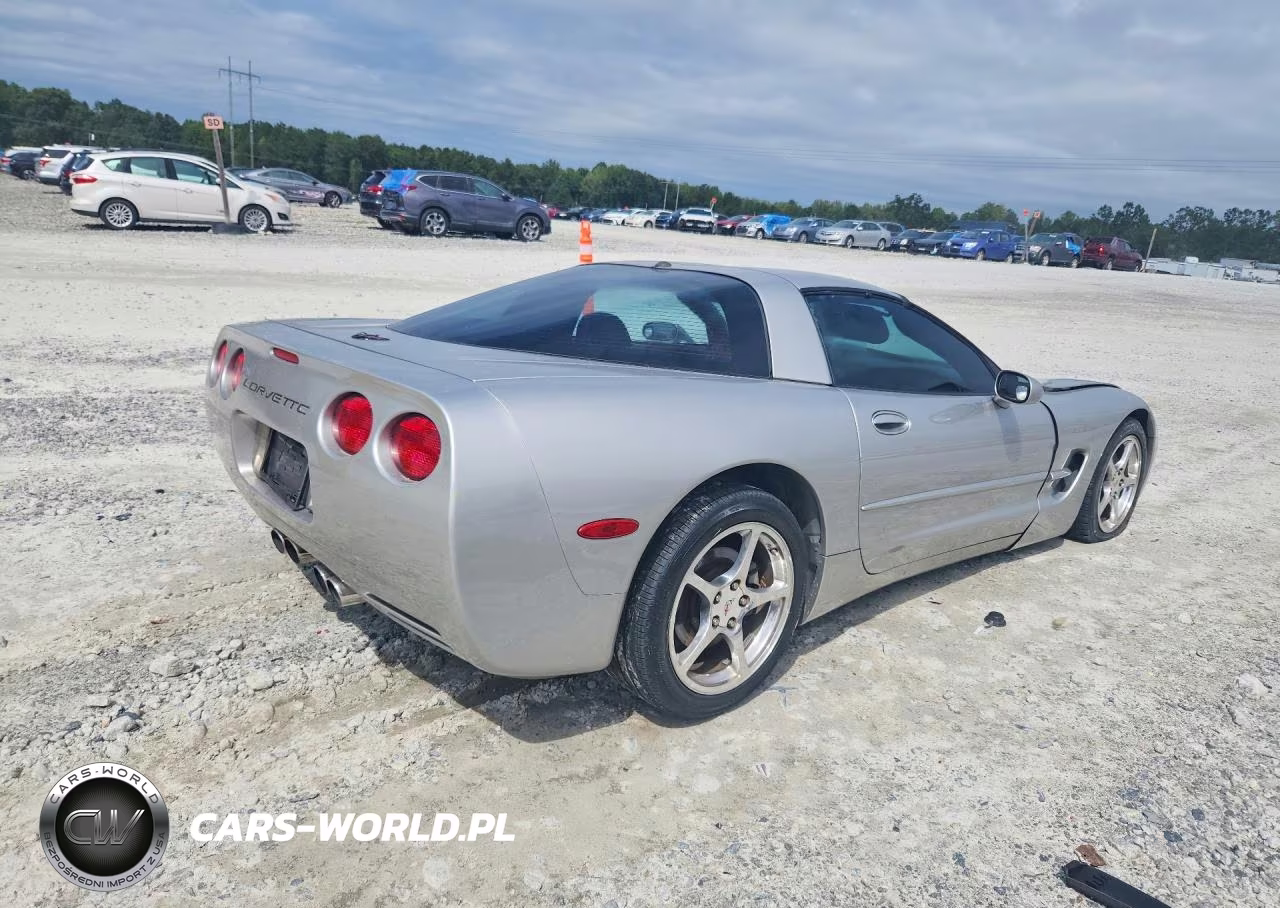 2004 Chevrolet Corvette VIN:1G1YY22G445126526 - 3