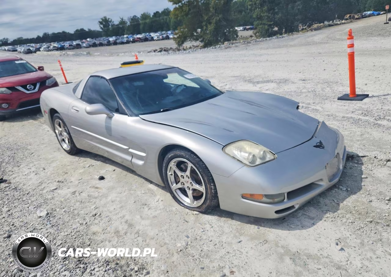 2004 Chevrolet Corvette VIN:1G1YY22G445126526 - 4