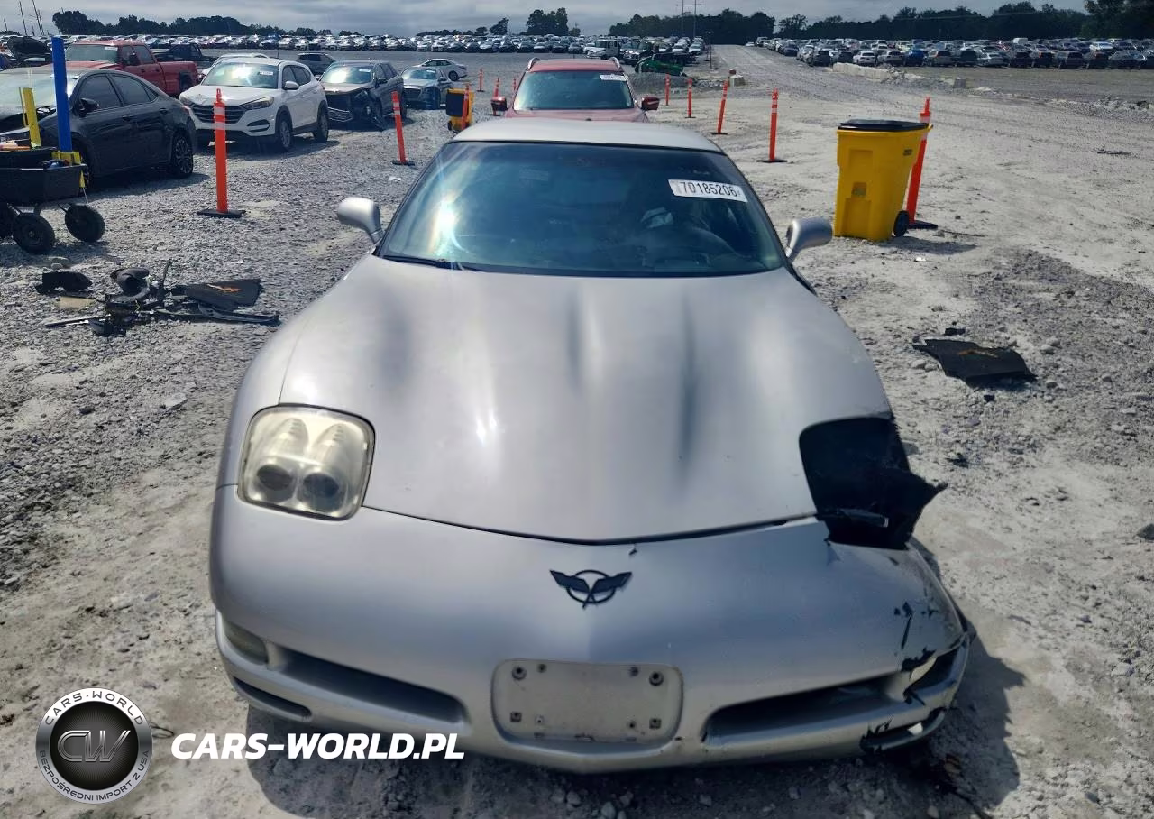 2004 Chevrolet Corvette VIN:1G1YY22G445126526 - 5