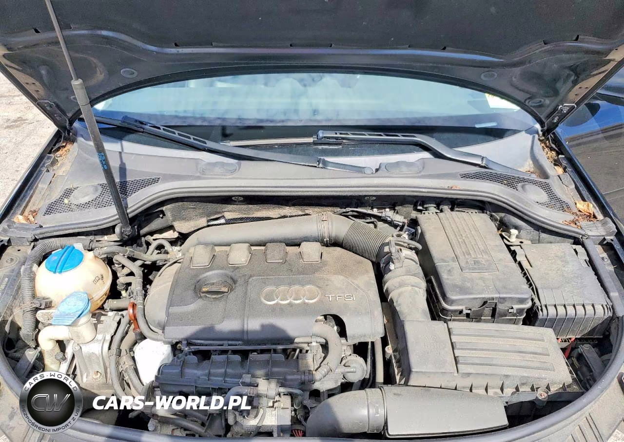 2012 Audi A3 Premium Plus VIN:WAUMFAFM2CA118580 - 11