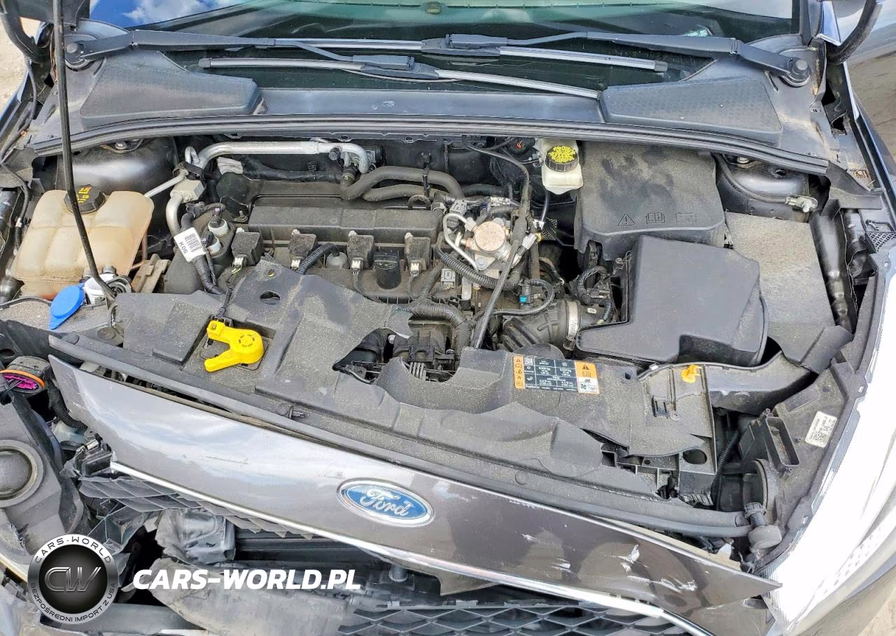 2017 Ford Focus S VIN:1FADP3E23HL316565 - 11