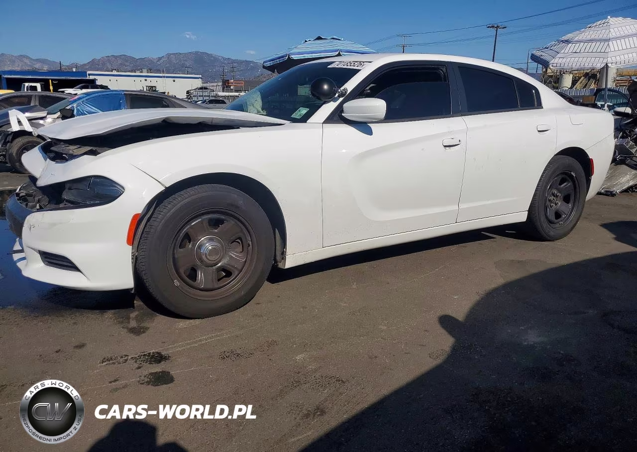 2019 Dodge Charger Police