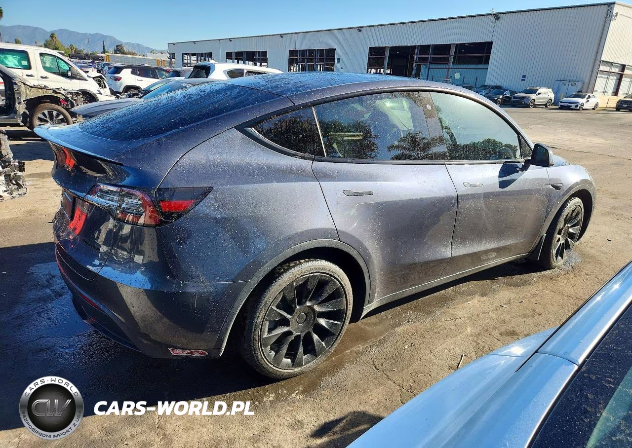 2023 Tesla Model Y VIN:7SAYGAEE9PF713860 - 3