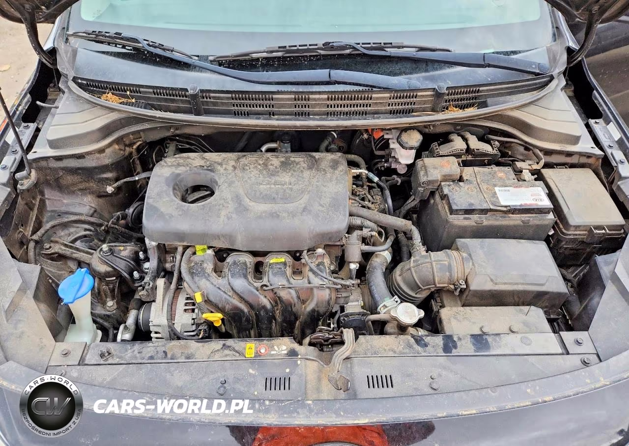 KIA RIO S VIN:3KPA24AB7KE172638 - 11