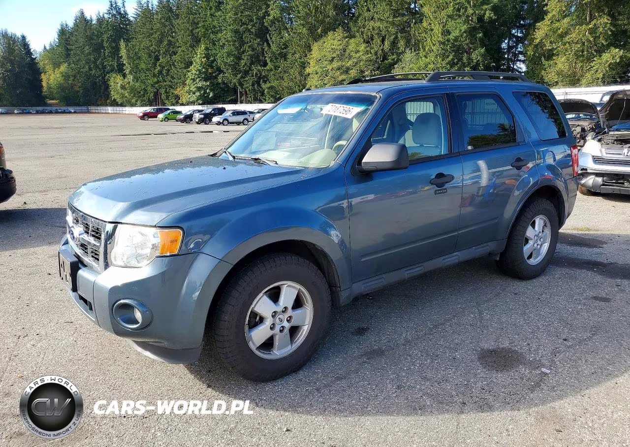 2011 Ford Escape Xlt