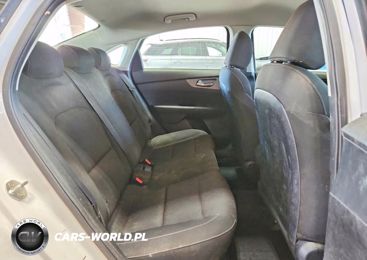 2019 Kia Forte Fe VIN:3KPF24AD6KE097499 - 10