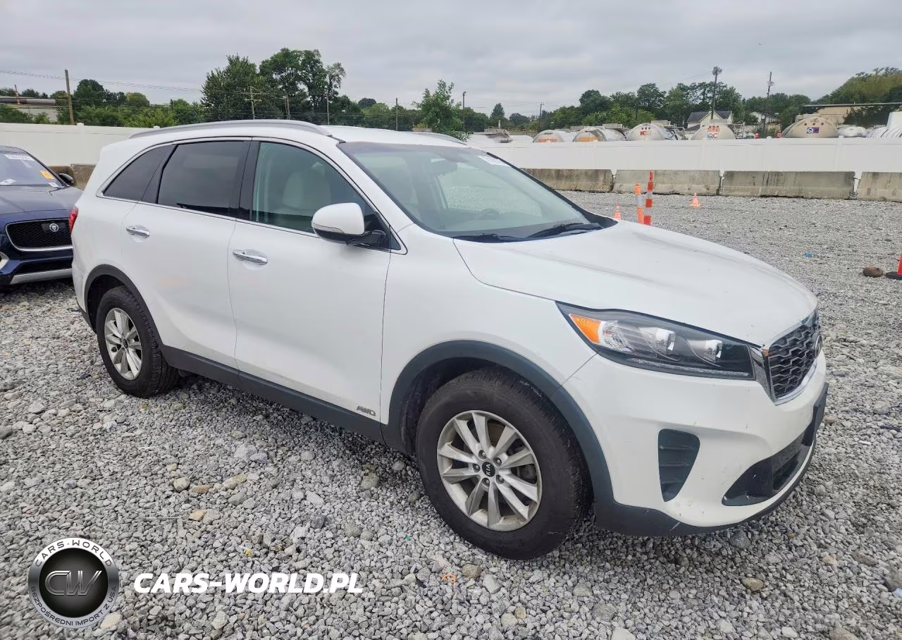 2020 Kia Sorento Lx VIN:5XYPGDA3XLG636269 - 4