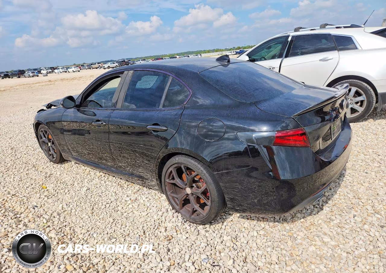 2019 Alfa Romeo Giulia VIN:ZARFAMAN5K7621176 - 2