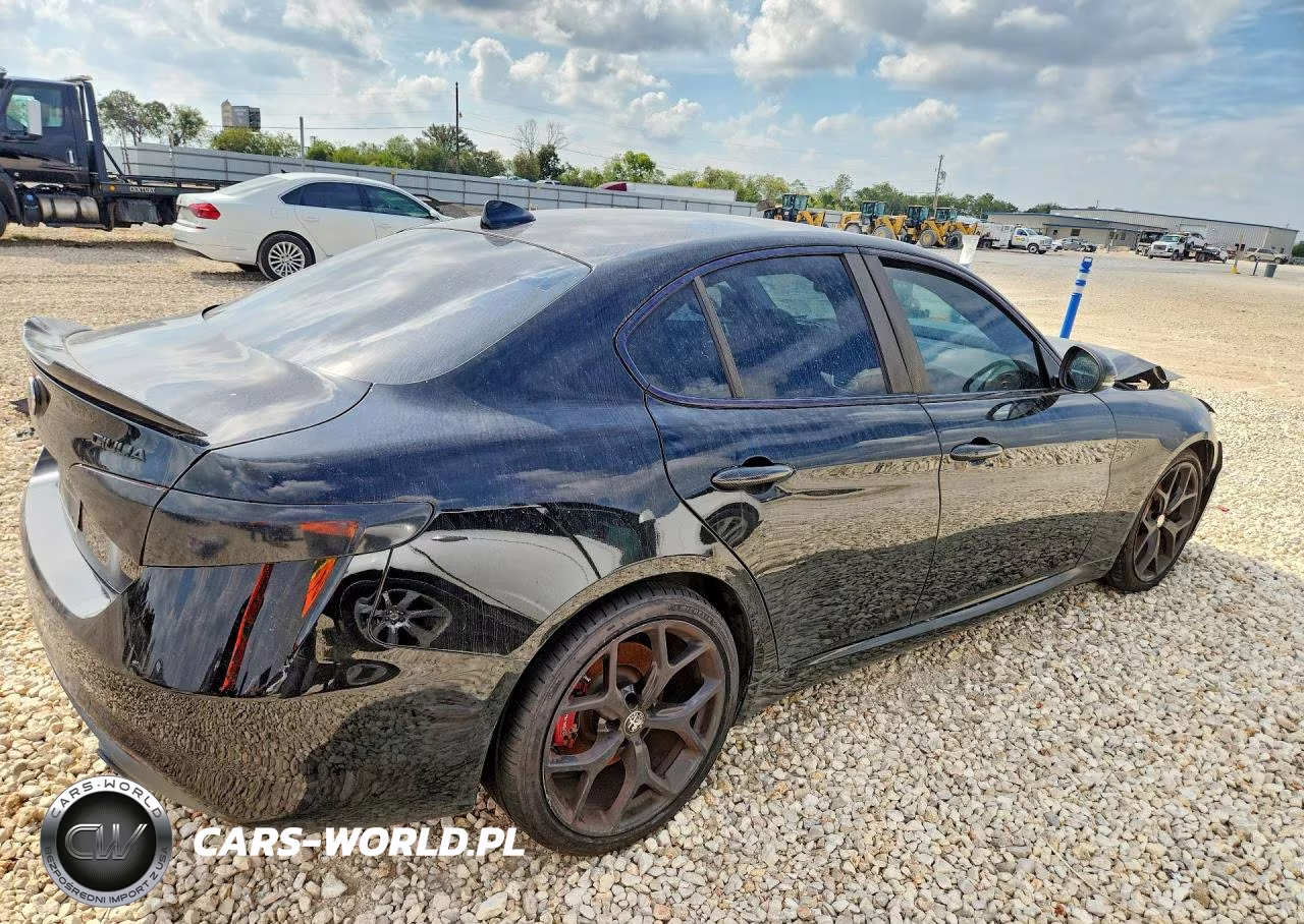 2019 Alfa Romeo Giulia VIN:ZARFAMAN5K7621176 - 3