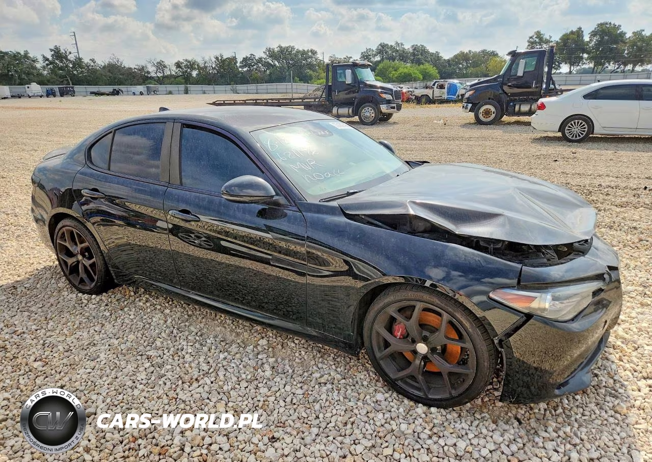 2019 Alfa Romeo Giulia VIN:ZARFAMAN5K7621176 - 4