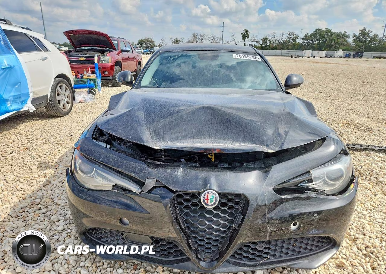 2019 Alfa Romeo Giulia VIN:ZARFAMAN5K7621176 - 5