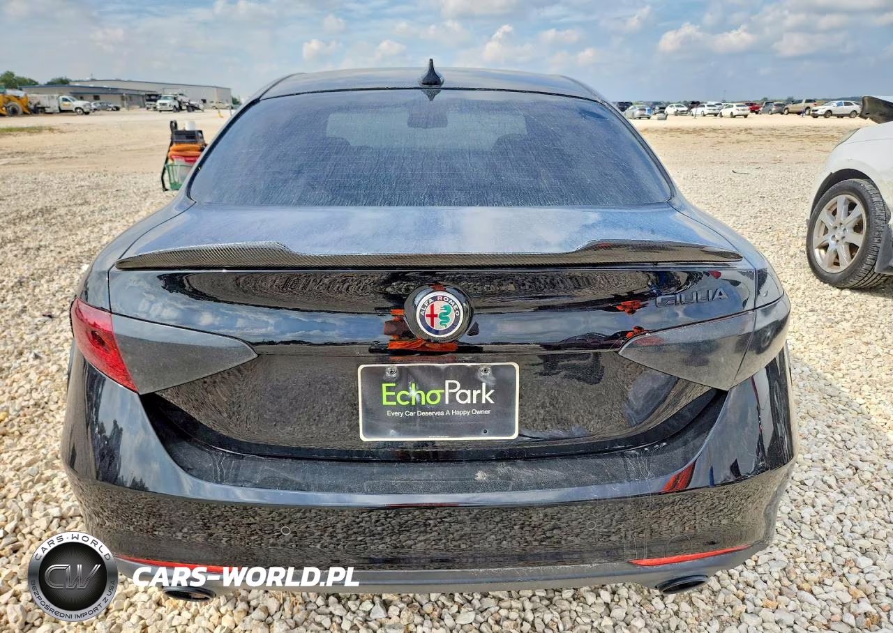 2019 Alfa Romeo Giulia VIN:ZARFAMAN5K7621176 - 6