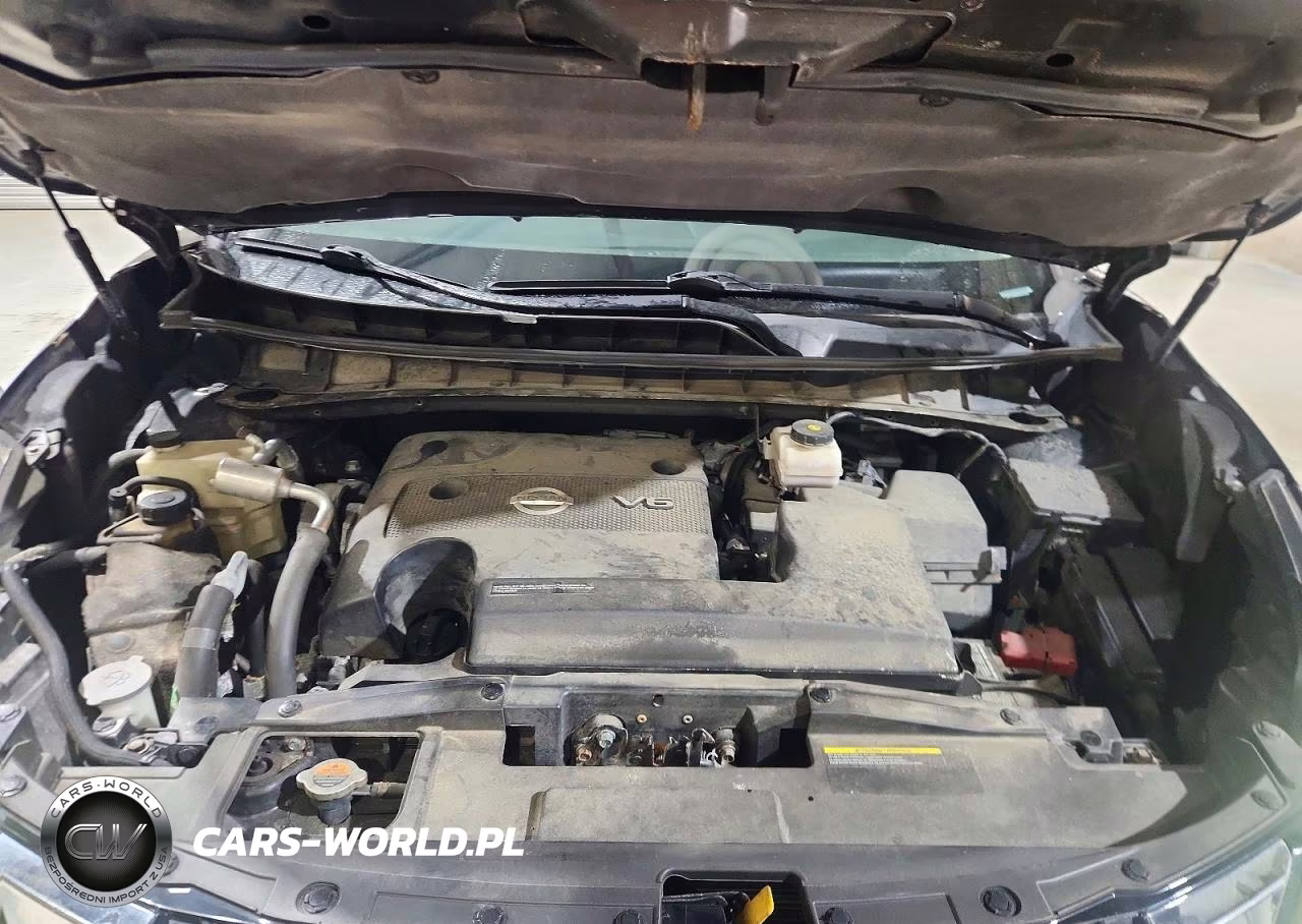 2019 Nissan Murano Platinum VIN:5N1AZ2MS7KN161206 - 12