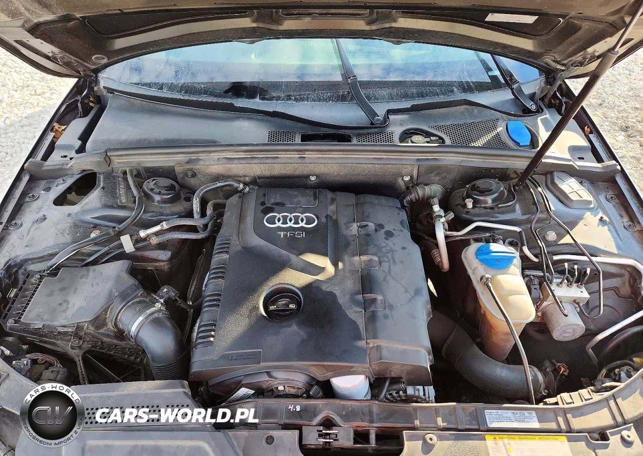 2014 Audi A4 Premium Plus VIN:WAUFFAFL4EN037267 - 11