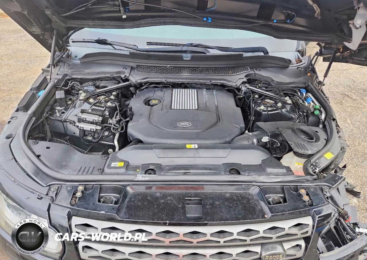 2016 Land Rover Range Rover Sport Se VIN:SALWG2KF1GA653114 - 12