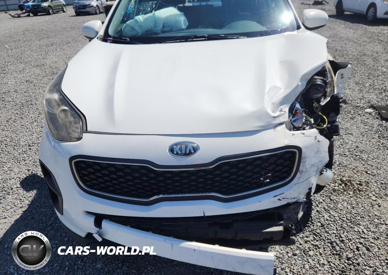 2019 Kia Sportage Lx VIN:KNDPM3AC8K7558167 - 11