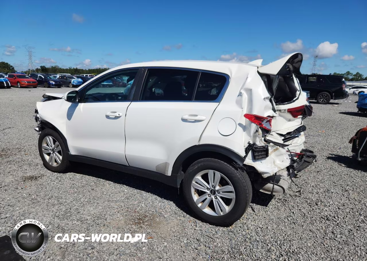2019 Kia Sportage Lx VIN:KNDPM3AC8K7558167 - 2