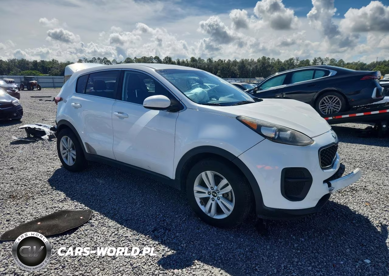 2019 Kia Sportage Lx VIN:KNDPM3AC8K7558167 - 4
