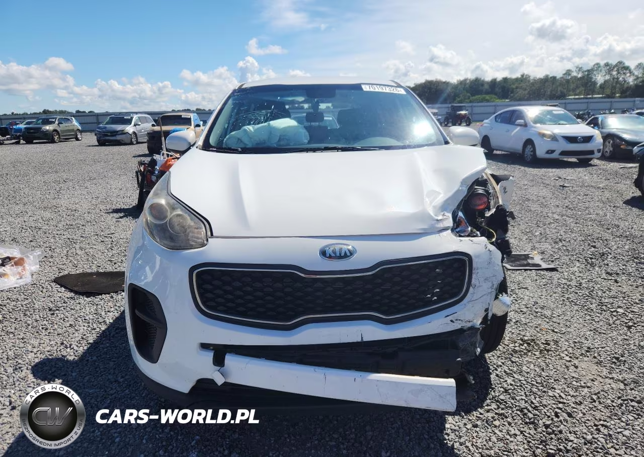 2019 Kia Sportage Lx VIN:KNDPM3AC8K7558167 - 5