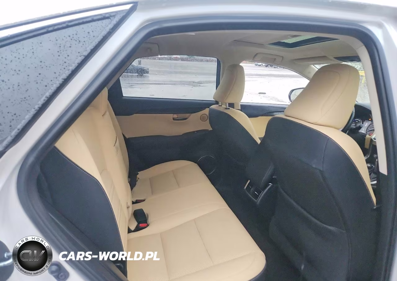 2020 Lexus Nx 300H VIN:JTJGJRDZ8L2144183 - 10