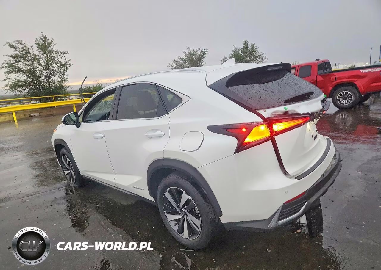 2020 Lexus Nx 300H VIN:JTJGJRDZ8L2144183 - 2