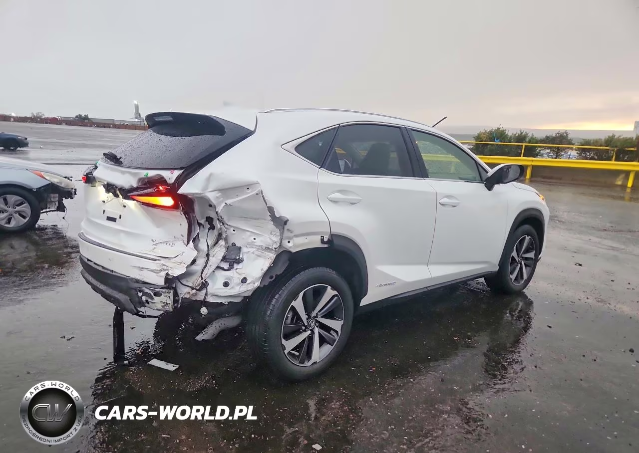 2020 Lexus Nx 300H VIN:JTJGJRDZ8L2144183 - 3