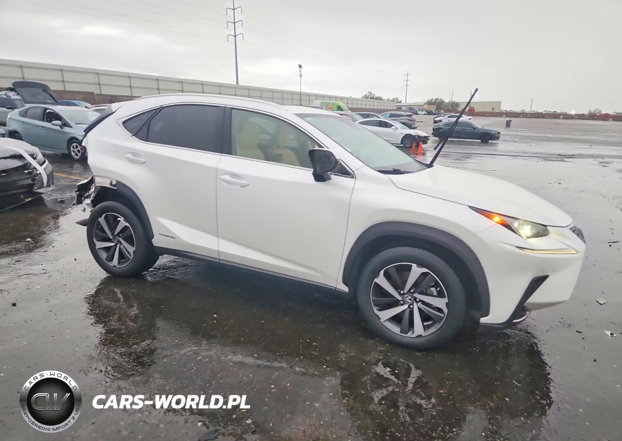 2020 Lexus Nx 300H VIN:JTJGJRDZ8L2144183 - 4