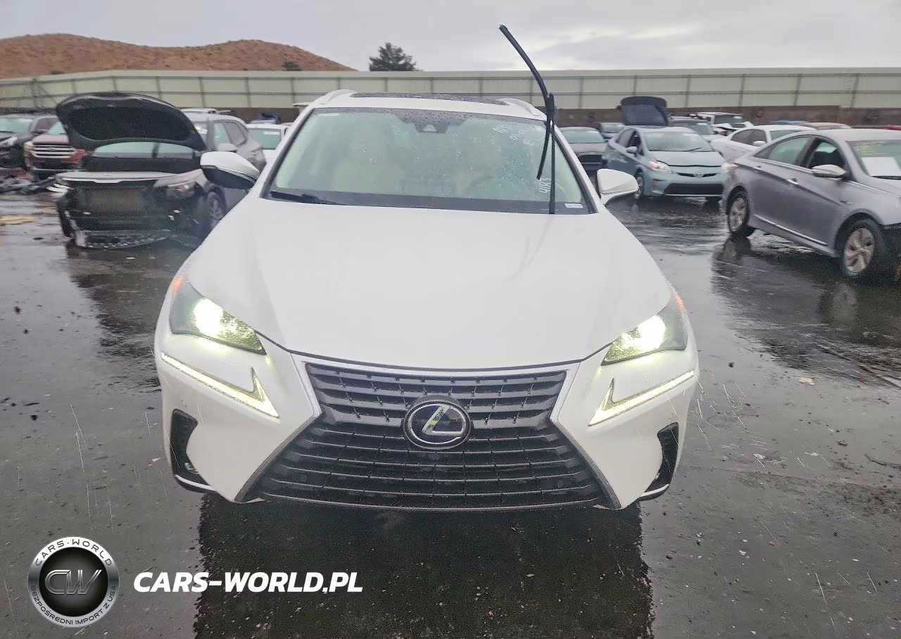 2020 Lexus Nx 300H VIN:JTJGJRDZ8L2144183 - 5