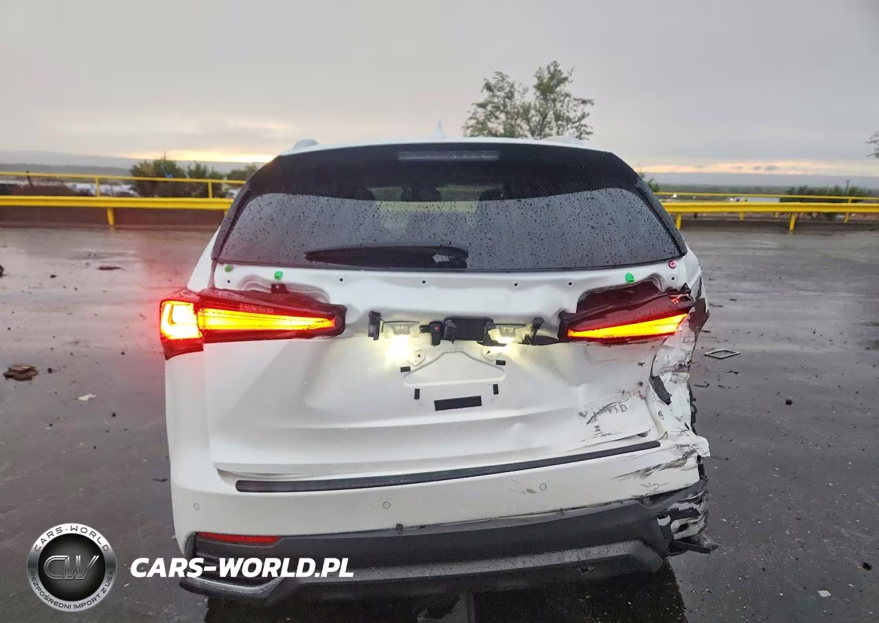 2020 Lexus Nx 300H VIN:JTJGJRDZ8L2144183 - 6