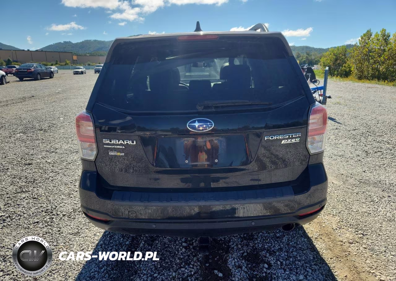 2017 Subaru Forester 2.5I Touring VIN:JF2SJAWC4HH562205 - 6