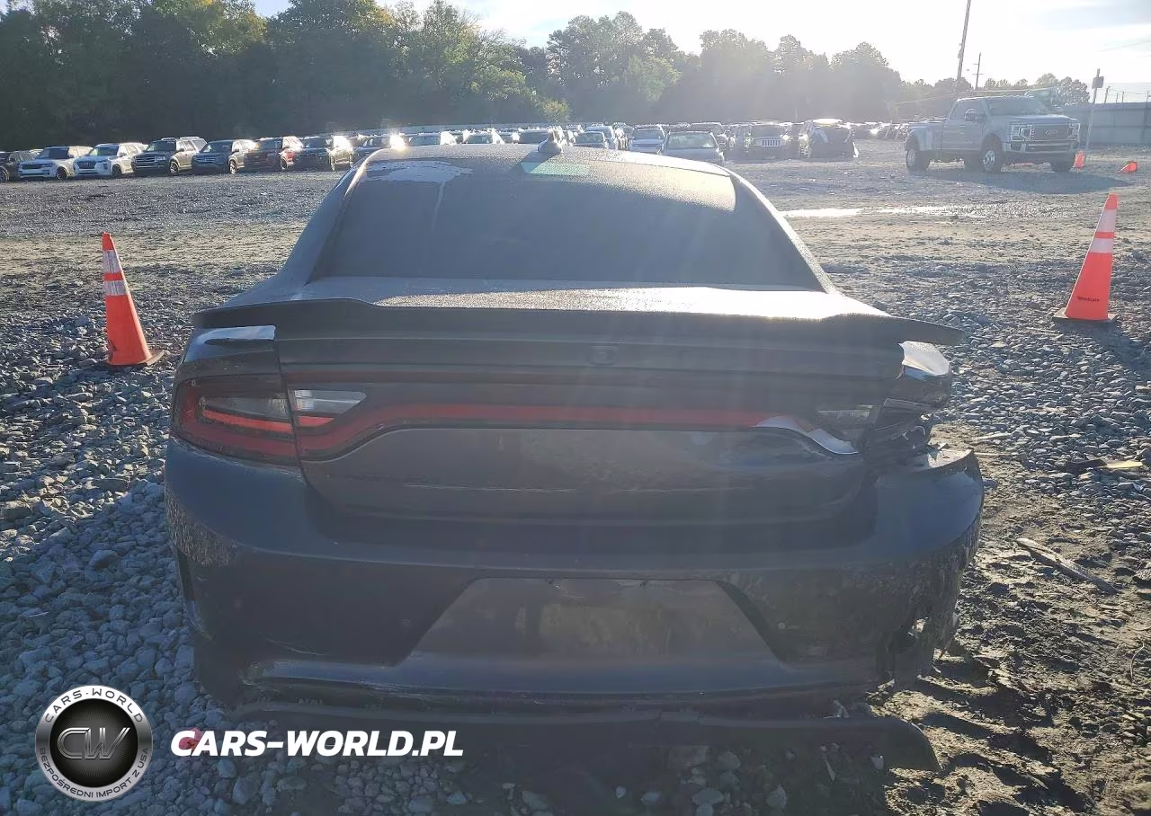 2018 Dodge Charger R-T 392 VIN:2C3CDXGJ5JH113615 - 6