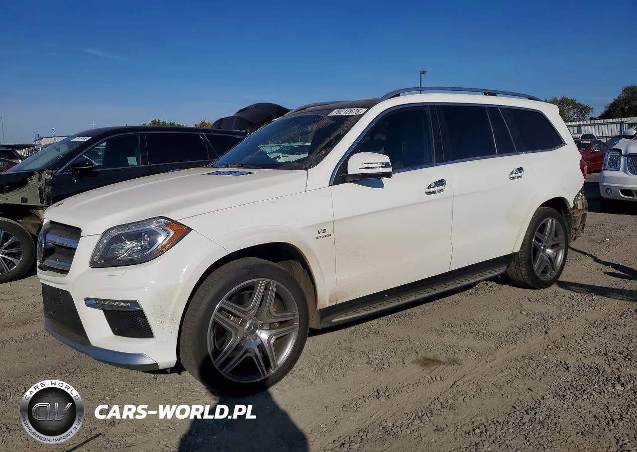 2014 Mercedes-Benz Gl 63 Amg VIN:4JGDF7EE8EA356710 - 1