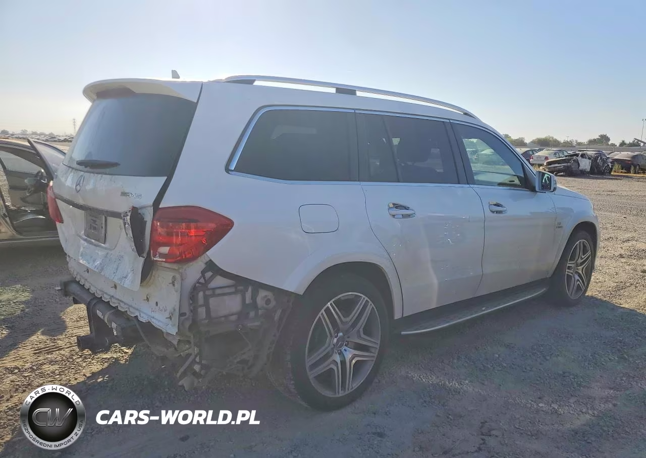 2014 Mercedes-Benz Gl 63 Amg VIN:4JGDF7EE8EA356710 - 3