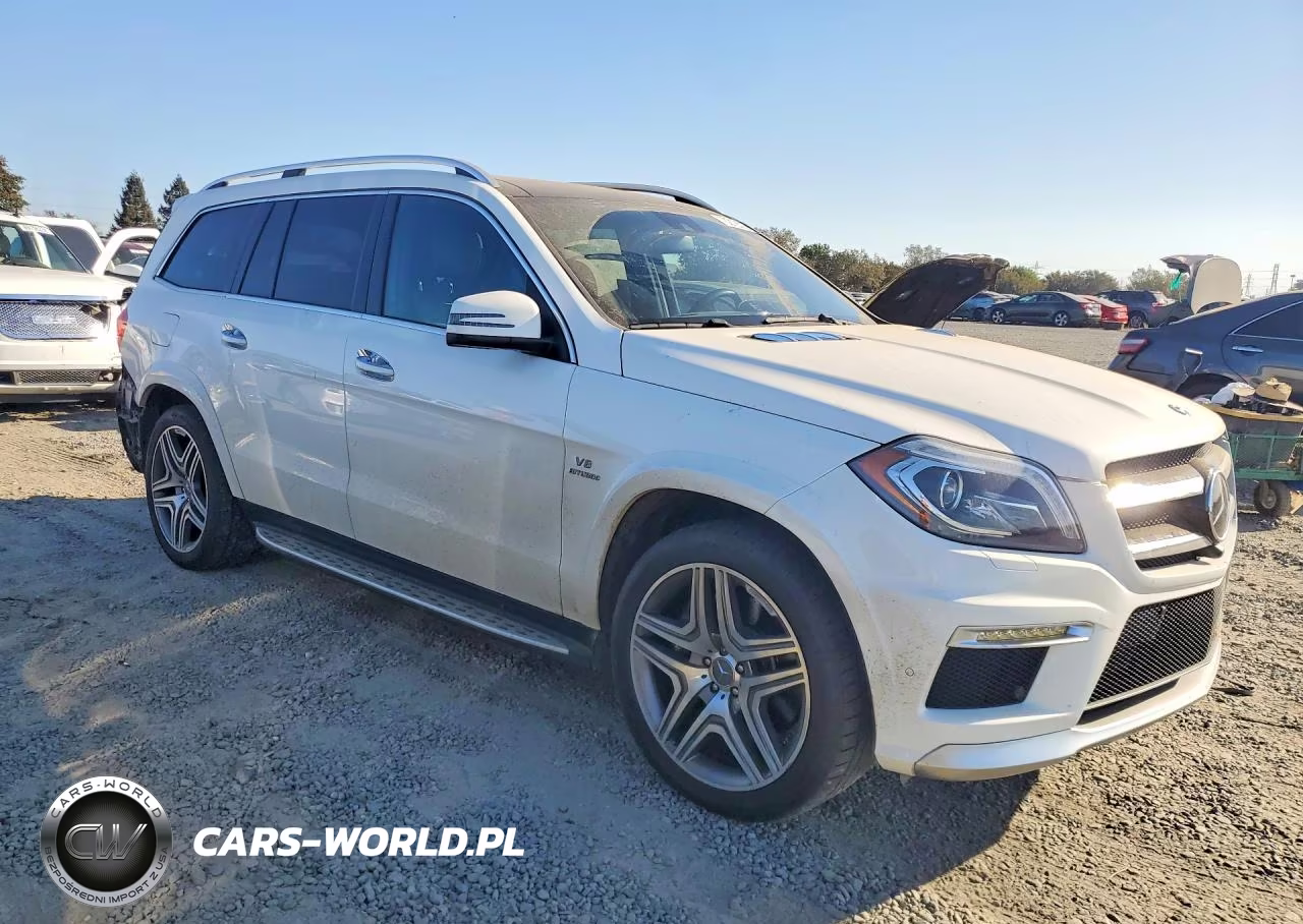 2014 Mercedes-Benz Gl 63 Amg VIN:4JGDF7EE8EA356710 - 4