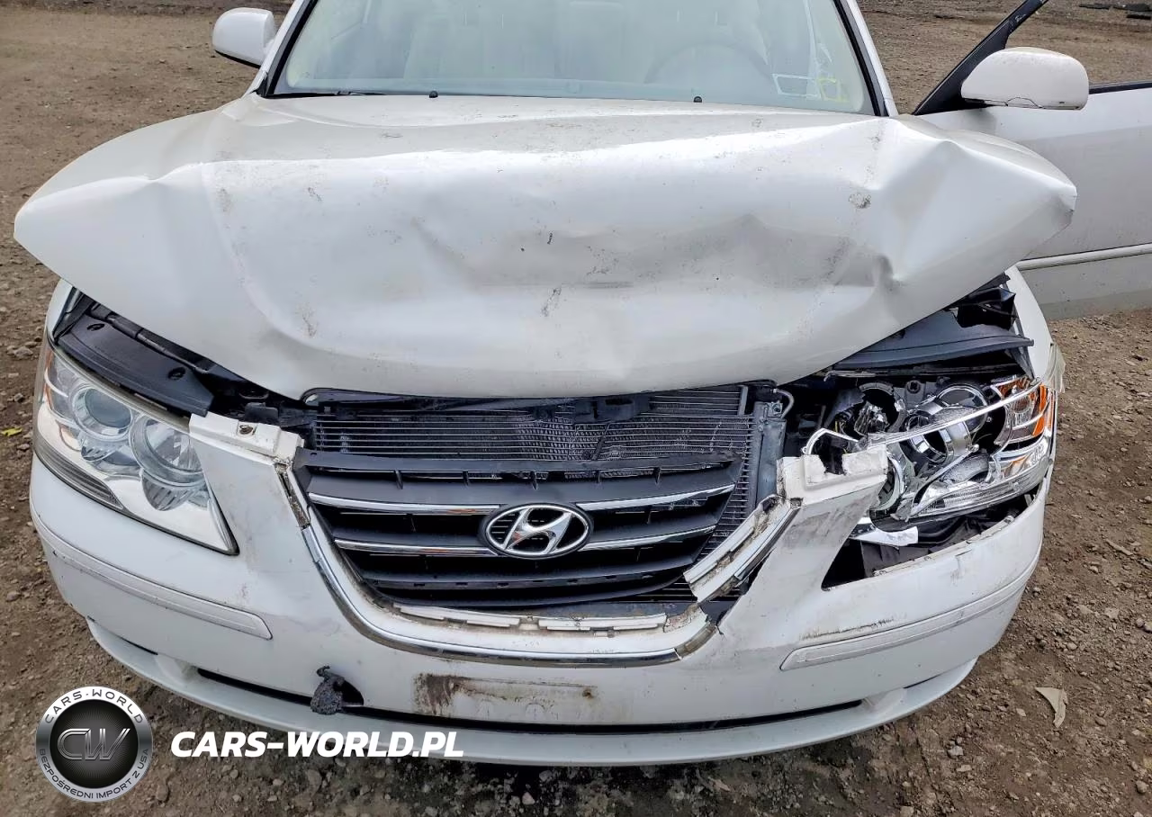 2010 Hyundai Sonata Gls VIN:5NPET4AC6AH591047 - 11