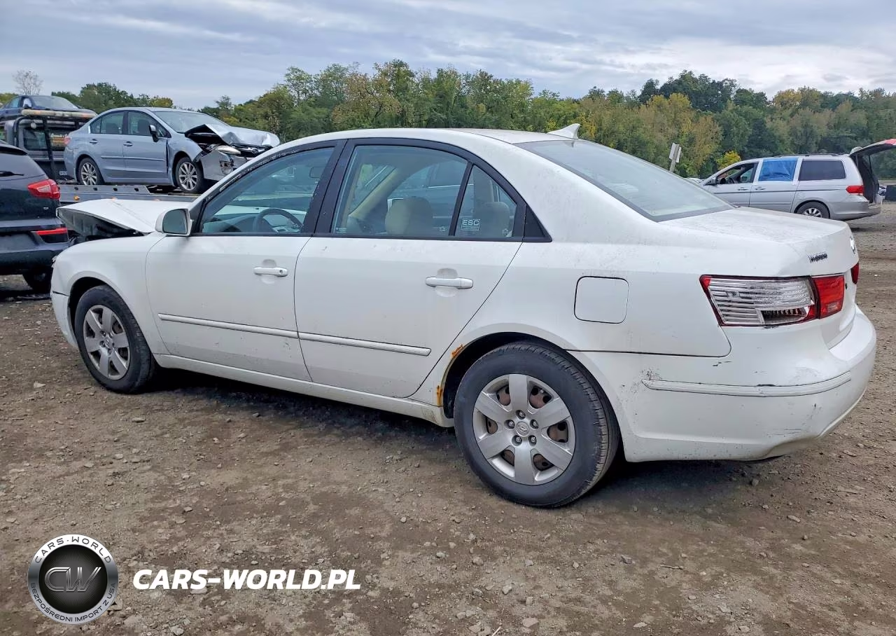 2010 Hyundai Sonata Gls VIN:5NPET4AC6AH591047 - 2
