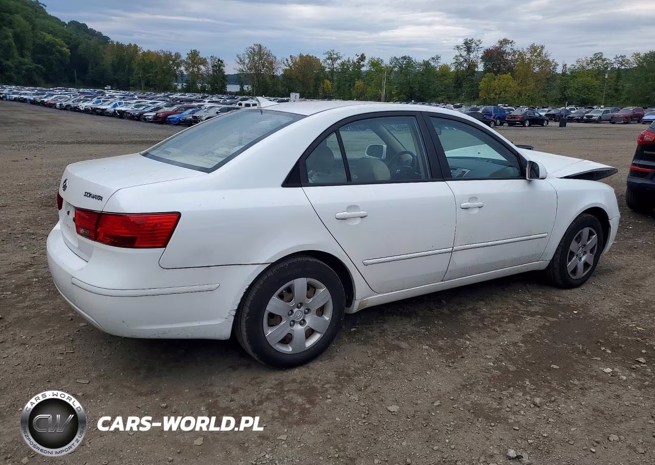 2010 Hyundai Sonata Gls VIN:5NPET4AC6AH591047 - 3