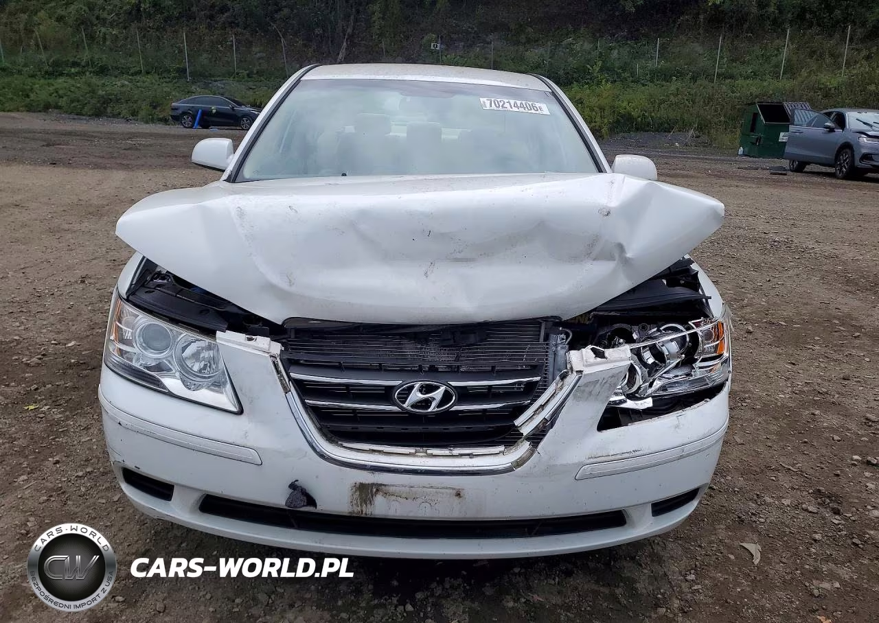 2010 Hyundai Sonata Gls VIN:5NPET4AC6AH591047 - 5