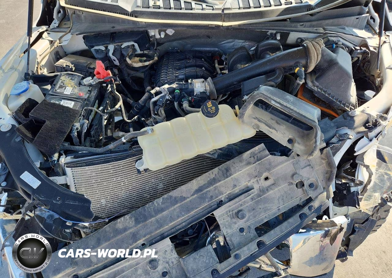 2020 Ford F150 VIN:1FTMF1EB3LKD47105 - 11