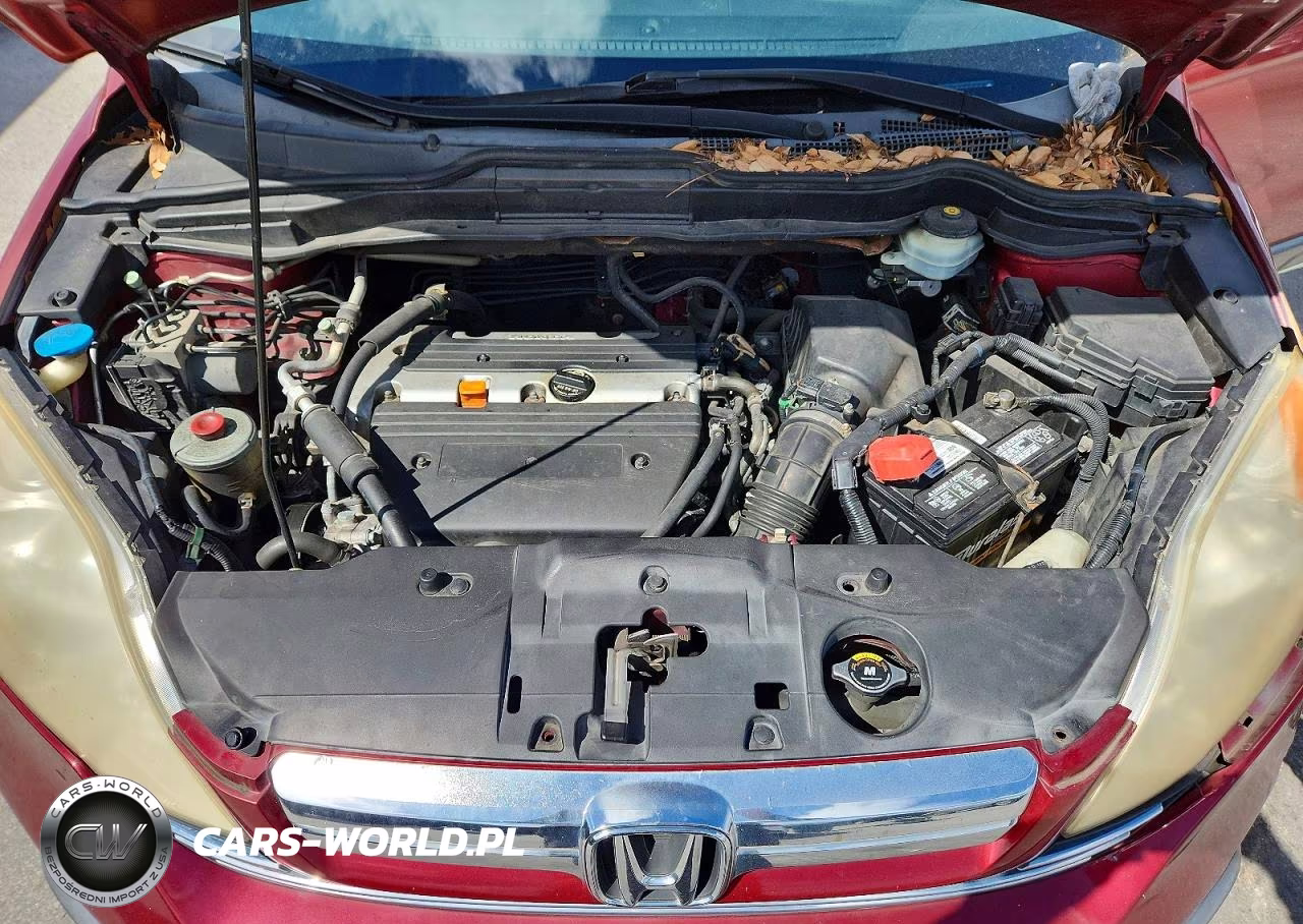 2008 Honda Cr-V Exl VIN:JHLRE38718C016409 - 12