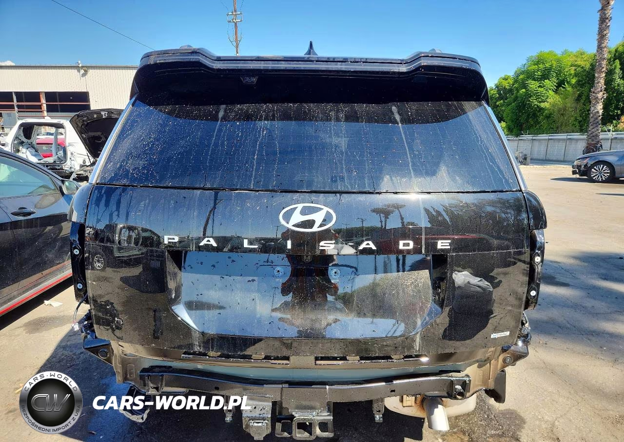 2026 Hyundai Palisade Calligraphy VIN:KM8RMES21TU060823 - 6