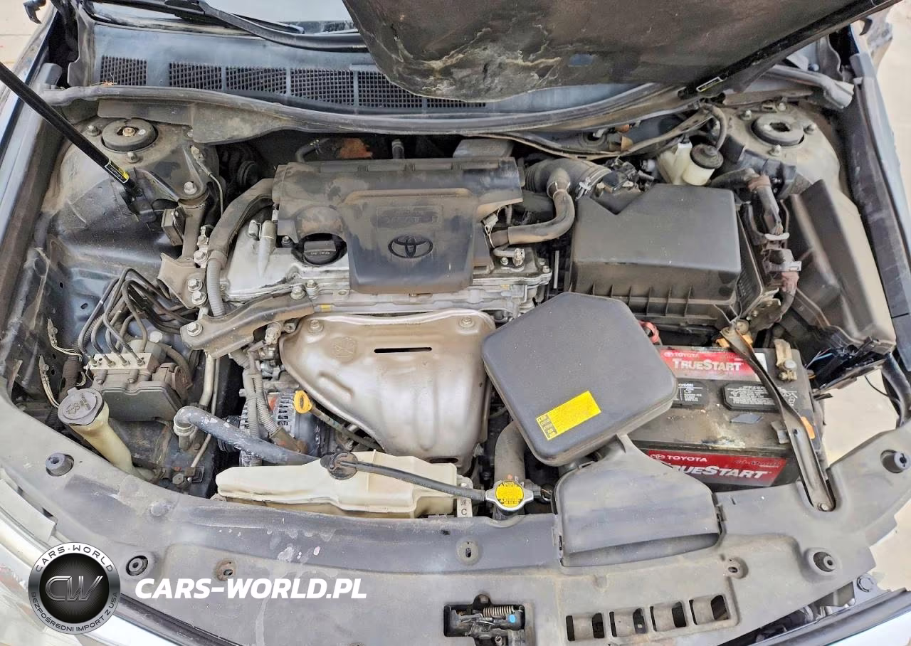 2014 Toyota Camry Xle VIN:4T4BF1FK7ER346313 - 11